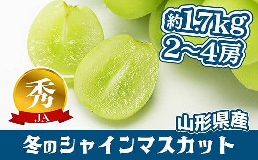 【ふるさと納税】 【令和7年産先行予約】 JA 冬のシャインマスカット 約1.7kg (2～4房 秀) 《令和7年12月中旬～下旬発送》 『JA山形おきたま』 山形県 南陽市 [821]
