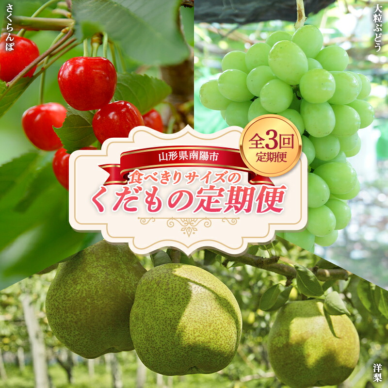 【ふるさと納税】 【令和8年産先行予約】 《定期便3回》 食べきりサイズの くだもの定期便 『南陽中央青果市場』 さくらんぼ シャインマスカット ラ･フランス 果物 フルーツ 山形県 南陽市 [1745-R8]