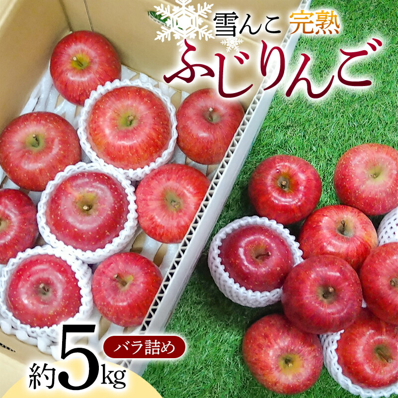 【ふるさと納税】【令和7年産先行予約】 雪んこ 完熟ふじりんご 約5kg バラ詰め 《令和8年1月上旬～発送》 【全国りんご選手権 銀賞】 『船中農園』 りんご リンゴ ふじ ふじりんご 完熟 果物 フルーツ デザート 山形県 南陽市 [1848]