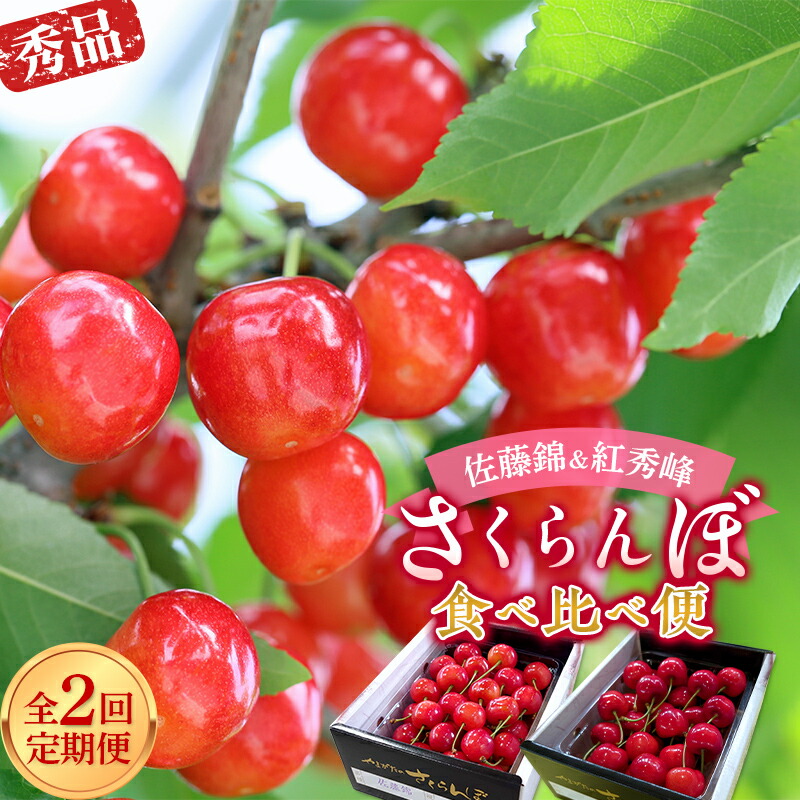 【ふるさと納税】 【令和7年産先行予約】 《定期便2回》 さくらんぼ食べ比べ定期便 「佐藤錦・紅秀峰」 各500g (秀品) 『マルエ青果』 果物 くだもの フルーツ 山形県 南陽市 [1888]