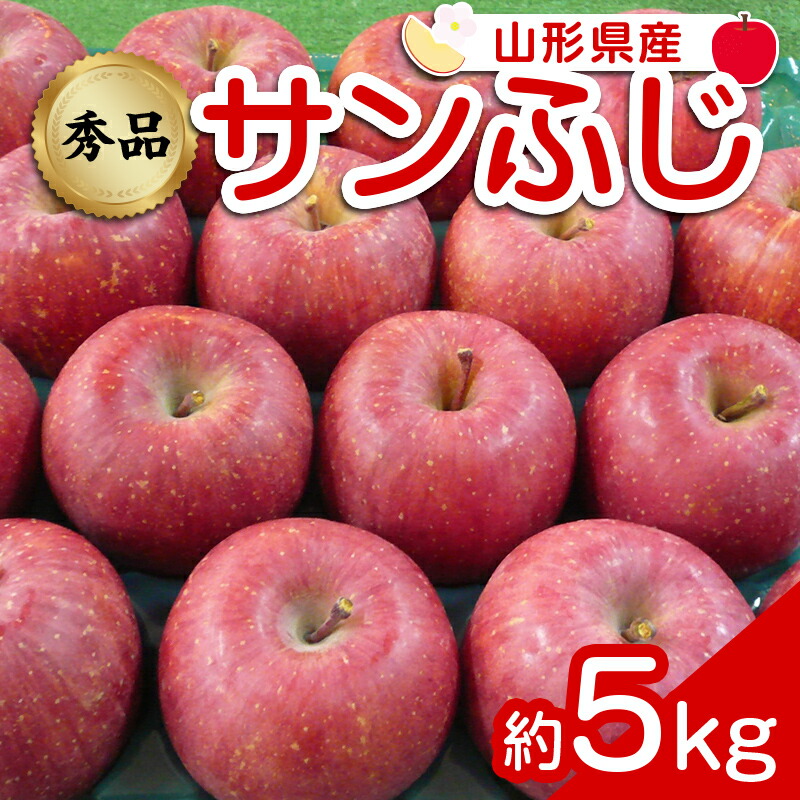 【ふるさと納税】 【令和8年産先行予約】 りんご 「サンふじ」 約5kg (12～23玉 秀品) 《令和8年12月上旬～令和9年2月下旬発送》 『カネタ高橋青果』 リンゴ 山形県 南陽市 [1960]