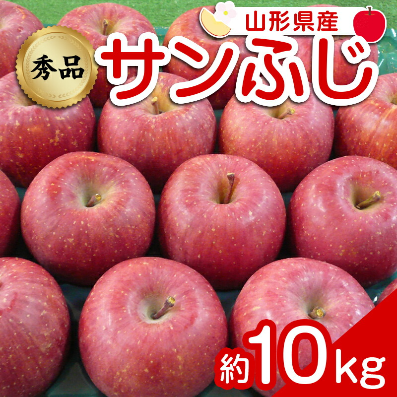 【ふるさと納税】 【令和8年産先行予約】 りんご 「サンふじ」 約10kg (24～46玉 秀品) 《令和8年12月上旬～令和9年2月下旬発送》 『カネタ高橋青果』 リンゴ 山形県 南陽市 [1961]
