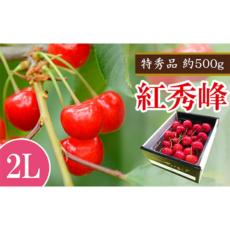 【ふるさと納税】 【令和7年産先行予約】 さくらんぼ 「紅秀峰」 約500g (特秀 2L) 《令和7年6月下旬～発送》 『マルエ青果』 先行予約 サクランボ 果物 フルーツ 山形県 南陽市 [1406]
