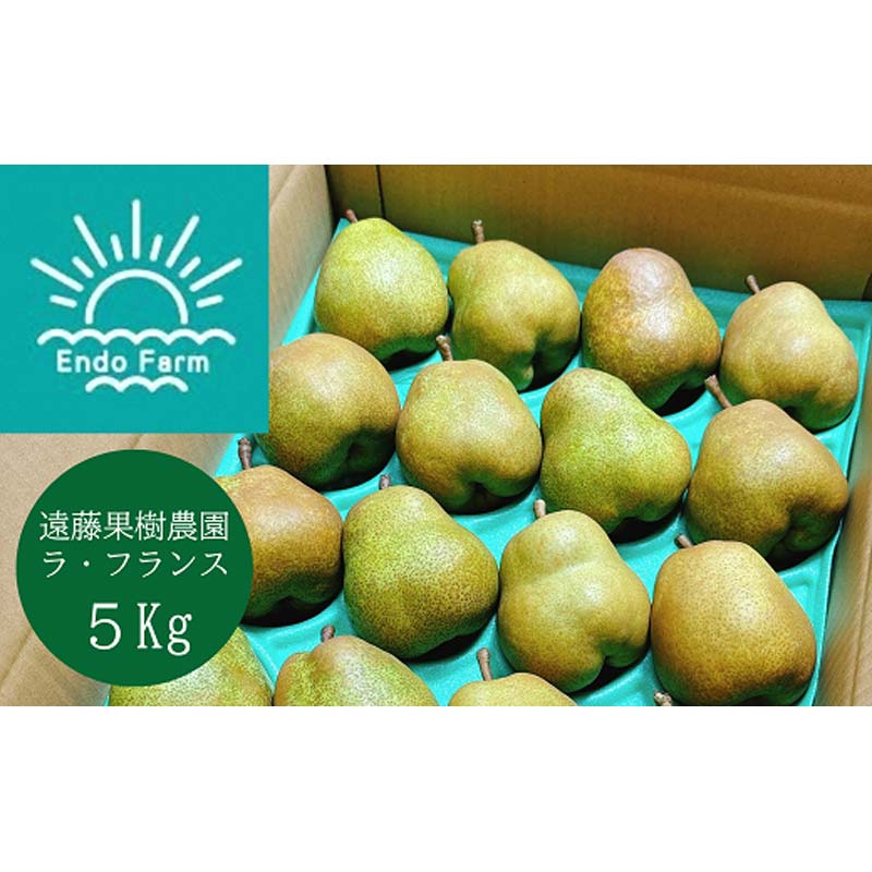 【ふるさと納税】 【令和7年産先行予約】 【ネオニコフリー】 〈家庭用〉 ラ・フランス 約5kg (18～20玉 秀 L～2L) 《令和7年11月上旬～発送》 『遠藤果樹農園』 厳選 こだわり ラフランス 西洋梨 洋なし 果物 フルーツ デザート 山形県 南陽市 [1989]