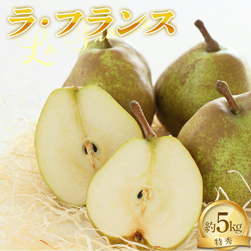 【ふるさと納税】 【令和7年産先行予約】 ラ・フランス 約5kg (14～16玉 特秀 3～4L) 《令和7年11月中旬～発送》 『NOWAフルーツ』 ラフランス 西洋梨 洋なし 果物 フルーツ デザート 山形南陽産 山形県 南陽市 [2065-R7]