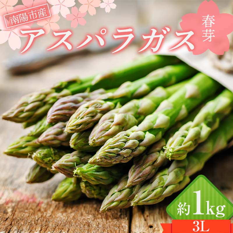【ふるさと納税】【令和8年産先行予約】 アスパラガス (春芽) 約1kg (3Lサイズ 約20～25本前後) 《令和8年5月～発送》 『生産者 紺野 幸陽』 グリーン 山形南陽産 農家直送 山形県 南陽市 [2243]