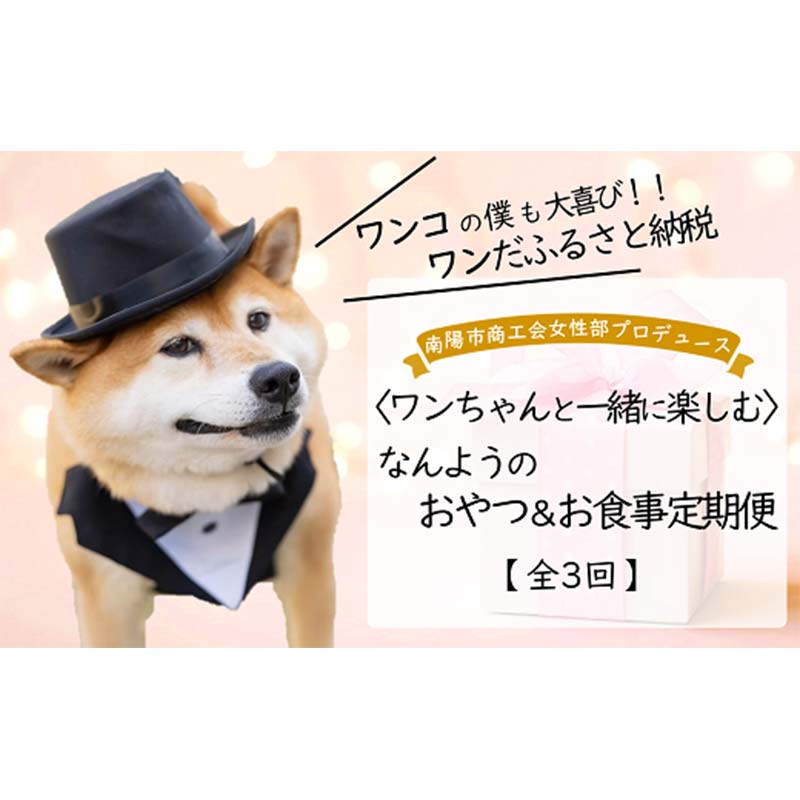【ふるさと納税】 《定期便3回》 南陽市商工会女性部プロデュース 〈ワンちゃんと一緒に楽しむ〉 【なんようのおやつ＆お食事定期便】 山形県 南陽市 [2265] 55,000円