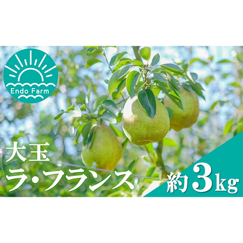【ふるさと納税】 【令和7年産先行予約】 【ネオニコフリー】 大玉 ラ・フランス 約3kg (8～9玉 特秀 4～5L) 《令和7年11月上旬～発送》 『遠藤果樹農園』 厳選 こだわり ラフランス 西洋梨 洋なし 果物 フルーツ デザート 山形県 南陽市 [1060-R7]