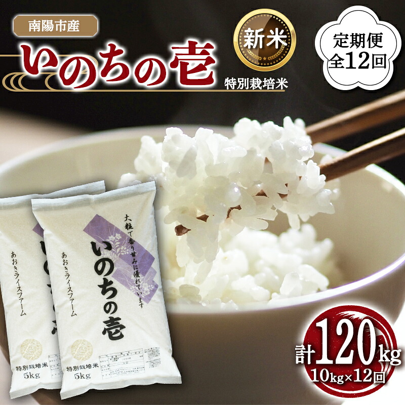 【ふるさと納税】 【令和8年産 新米 先行予約】 【金賞受賞農家】 《定期便12回》 特別栽培米 いのちの壱 計10kg(5kg&times;2袋)&times;12か月 《令和8年10月中旬～発送》 『あおきライスファーム』 山形南陽産 米 白米 精米 ご飯 農家直送 山形県 南陽市 [2670-R8]｜山形県南陽市 235,350円