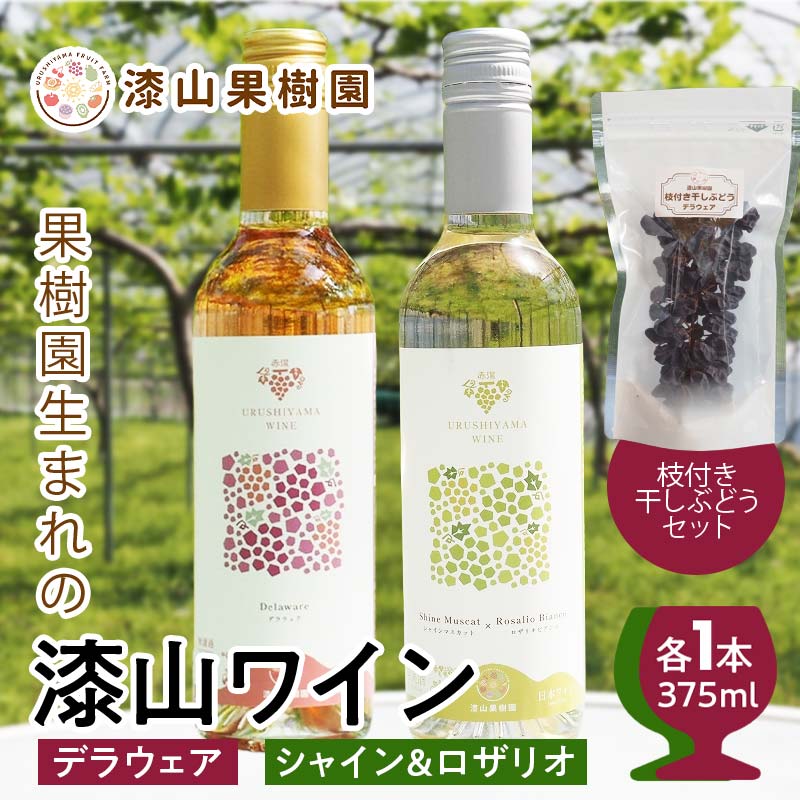 【ふるさと納税】 果樹園生まれの 漆山果樹園ワイン 「 漆山ワイン (デラウェア) + 漆山ワイン (シャイン＆ロザリオ) + 枝付き干しぶどう セット 」 『漆山果樹園』 山形県 南陽市 [2279]