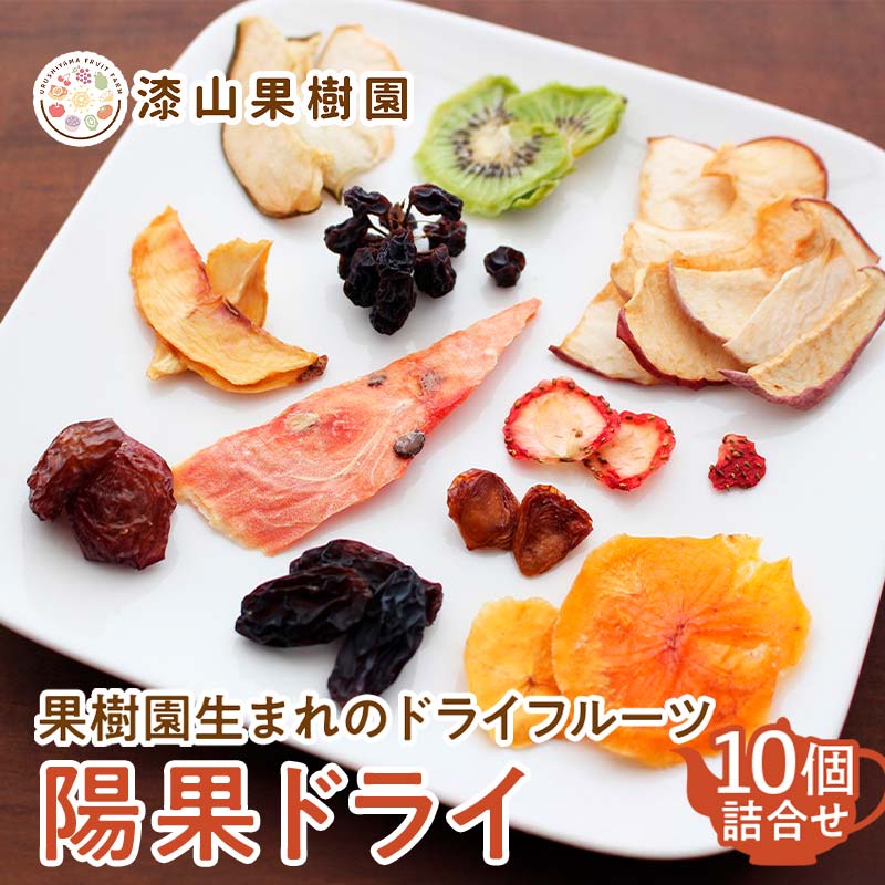 【ふるさと納税】 果樹園生まれの ドライフルーツ 「陽果ドライ」 10個詰合せ (枝付き干しぶどう入り) 『漆山果樹園』 デラウェア シャインマスカット 山形県 南陽市 [2419]