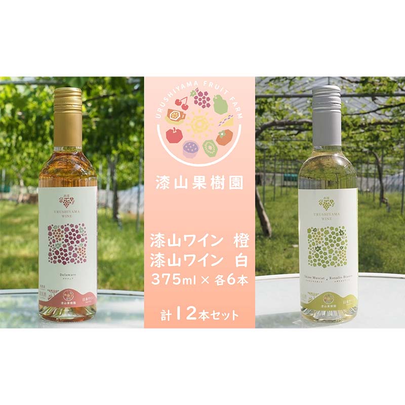 【ふるさと納税】 果樹園生まれの 漆山果樹園ワイン 「漆山ワイン (デラウェア)」 「漆山ワイン (シャインマスカット×ロザリオビアンコ)」 375ml 各6本 計12本セット 『漆山果樹園』 オレンジワイン 白ワイン 山形県 南陽市 [2616] 39,000円