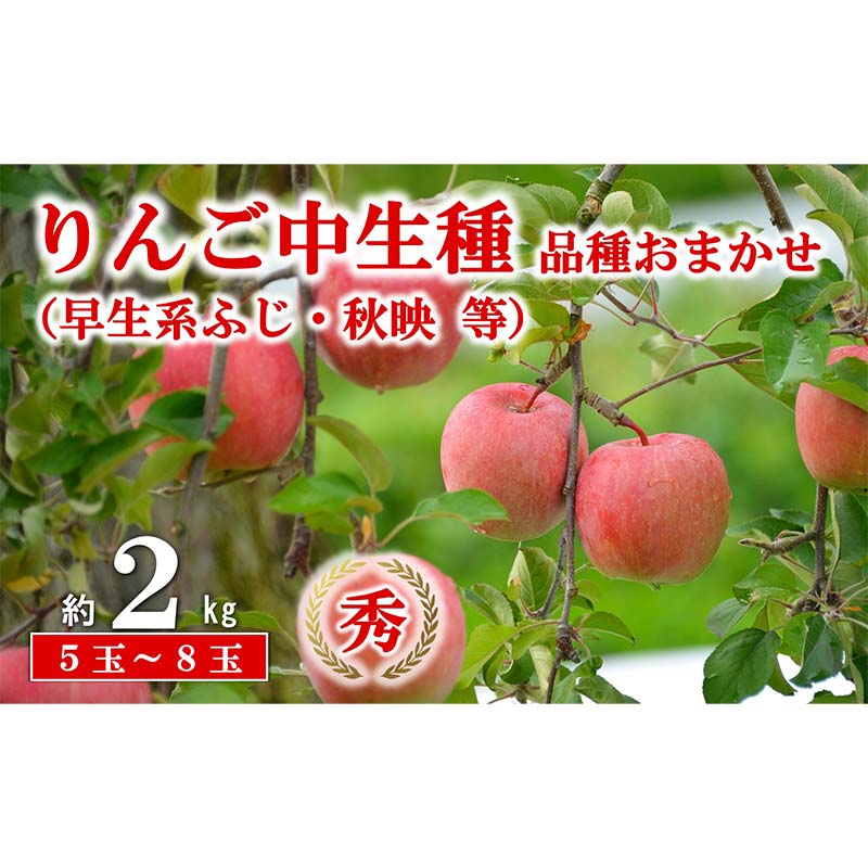 【ふるさと納税】 【令和8年産先行予約】 JA 中生種りんご 「早生系ふじ (涼香の季節･昴林)･秋陽･秋映 等」 約2kg (5～8玉 秀) 《令和8年9月下旬～10月中旬発送》 『JA山形おきたま』 林檎 リンゴ 果物 フルーツ 山形県 南陽市 [2654]