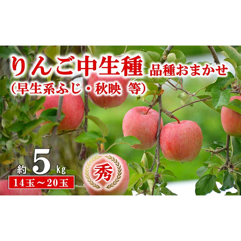 【ふるさと納税】 【令和8年産先行予約】 JA 中生種りんご 「早生系ふじ (涼香の季節･昴林)･秋陽･秋映 等」 約5kg (14～20玉 秀) 《令和8年9月下旬～10月中旬発送》 『JA山形おきたま』 林檎 リンゴ 果物 フルーツ 山形県 南陽市 [2655]