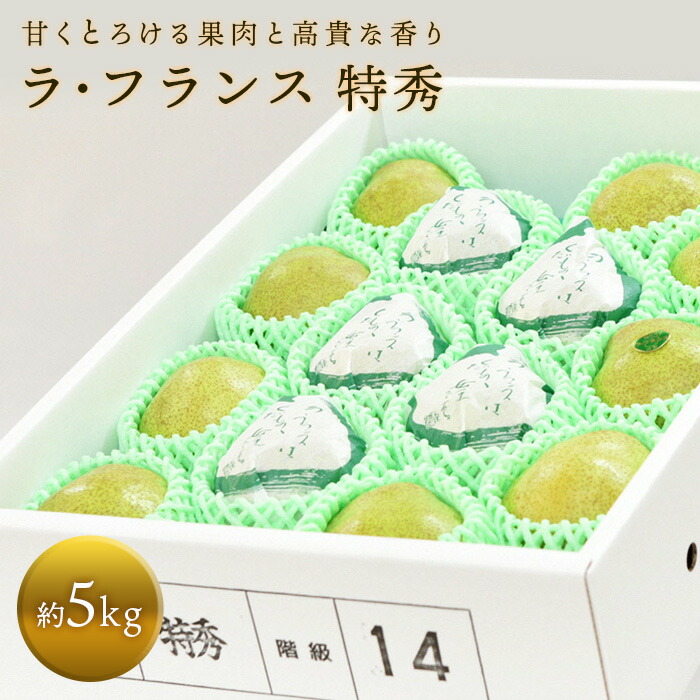 【ふるさと納税】 【令和7年産先行予約】 十三代目 佐藤市右衛門 ラ・フランス 約5kg (10～16玉 特秀 3～6L) 《令和7年11月上旬～発送》 『旬の果実 佐藤市右衛門農園』 ラフランス 西洋梨 洋なし 果物 フルーツ デザート 山形県 南陽市 [679]