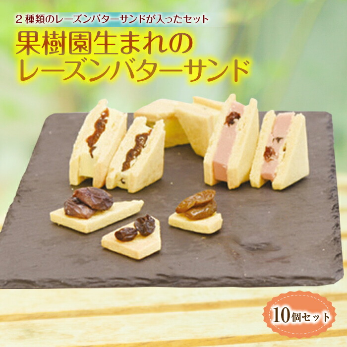 果樹園生まれのレーズンバターサンド 10個セット 931