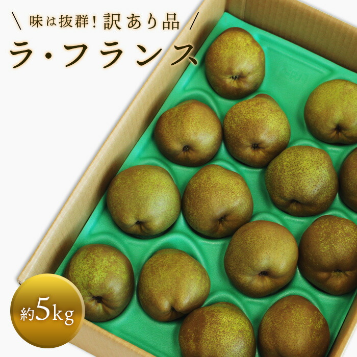 【ふるさと納税】 【令和7年産先行予約】 〈訳あり品 家庭用〉 ラ・フランス 約5kg (10～18玉 中～大玉) 《令和7年11月上旬～発送》 『旬の果実 佐藤市右衛門農園』 ラフランス 西洋梨 洋なし 訳あり 果物 フルーツ デザート 山形県 南陽市 [1047]