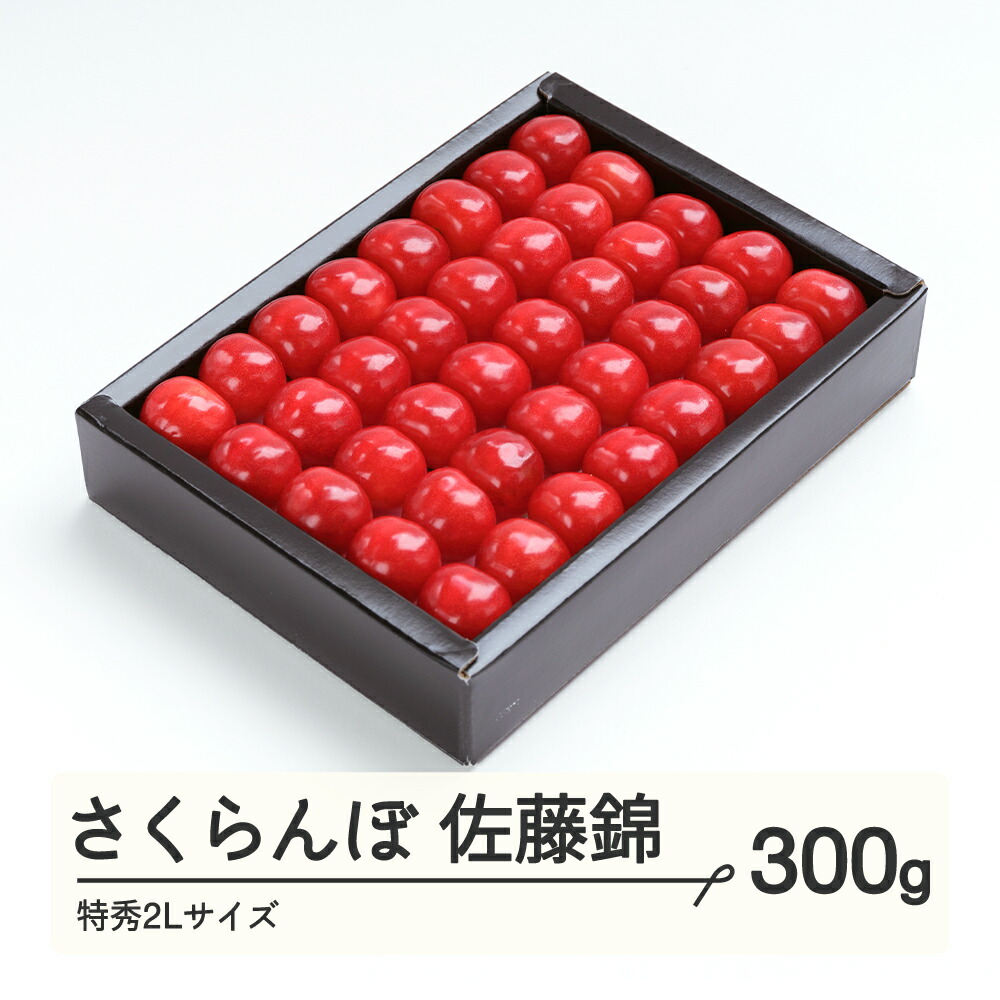 【ふるさと納税】さくらんぼ 佐藤錦 特秀2Lサイズ プレゼント ギフト 化粧箱鏡詰め 300g 2025年産 令和7年産 山形県産 送料無料 ns-snt2x300