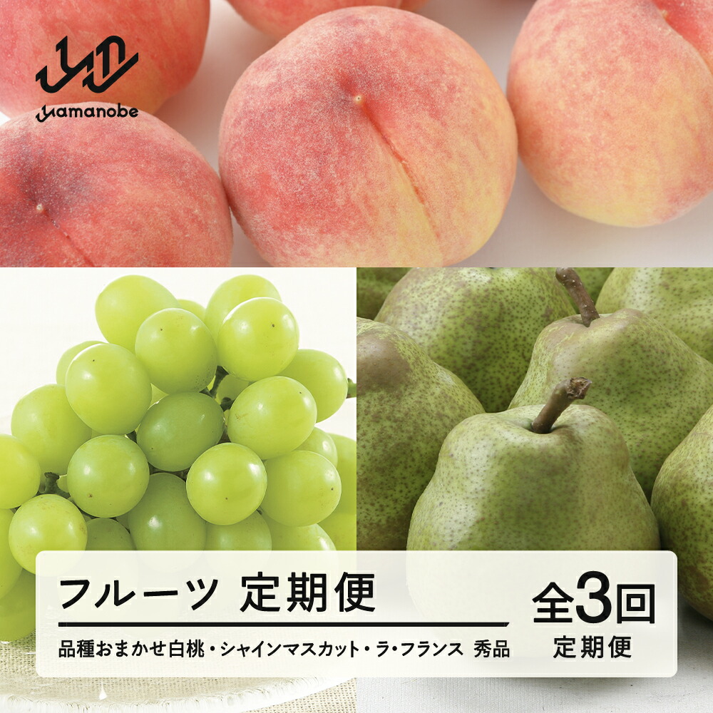 【ふるさと納税】 【先行予約】【定期便】フルーツ定期便 全3回 白桃 ブドウ ぶどう 葡萄 シャインマスカット ラフランス ラ・フランス 令和8年産 2026年産 送料無料 tf-ft3hbl ※沖縄・離島への配送不可