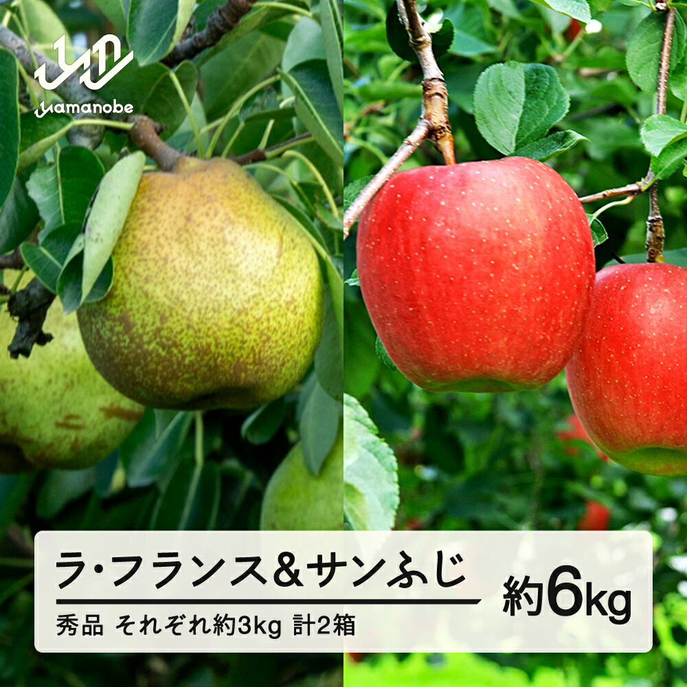 【ふるさと納税】先行予約 ラ・フランス サンふじセット  約6kg 各約3kg(6~12個程度) 各1箱 計2箱  秀品程度  洋梨   りんご 2025年産 山形県産 ※沖縄・離島への配送不可 送料無料 tf-fslrx3