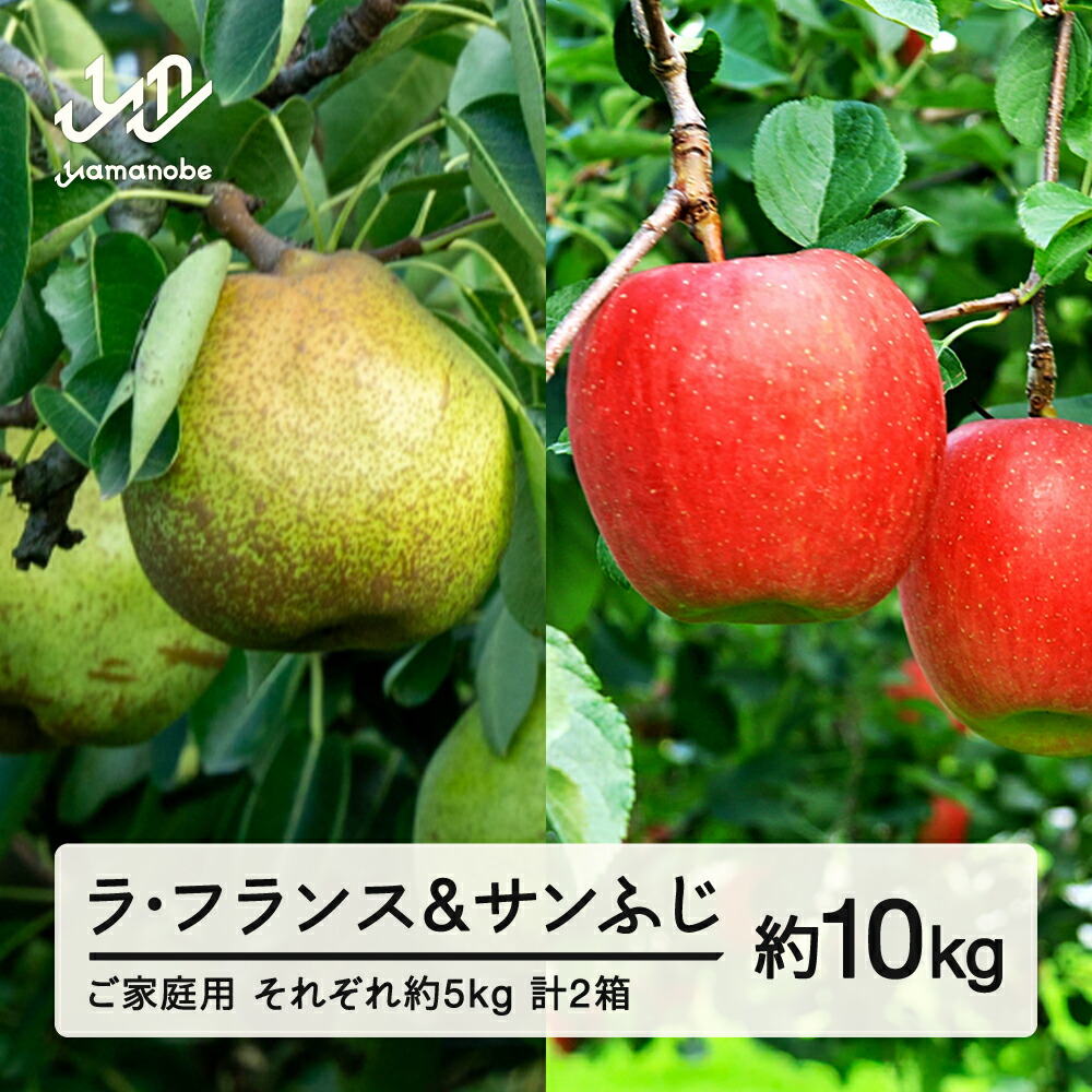 【ふるさと納税】先行予約 ラ・フランス サンふじ セット ご家庭用 約10kg 各約5kg 各1箱 計2箱  洋梨   りんご 2025年産 山形県産 ※沖縄・離島への配送不可  送料無料 tf-fslrx5