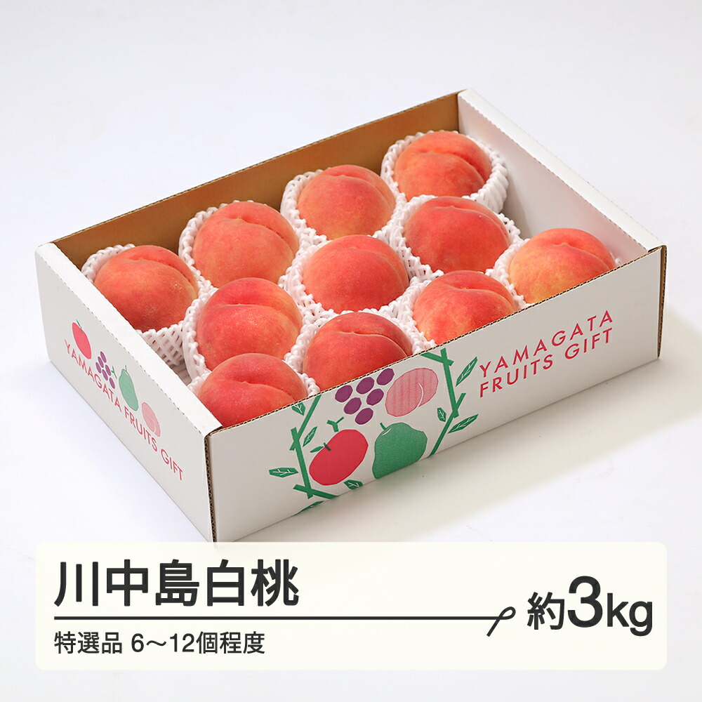 【ふるさと納税】もも 桃 川中島白桃 特選品 約3kg(6~12個程度) 山形県産 送料無料 tf-moknt3<br>※沖縄・離島への配送不可