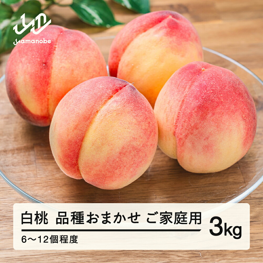 【ふるさと納税】【先行予約】桃 品種おまかせ 白桃 もも ご家庭用 約3kg(6~12個程度) 2026年産 山形県産 送料無料 tf-moywm3 ※沖縄・離島への配送不可｜山形県山辺町