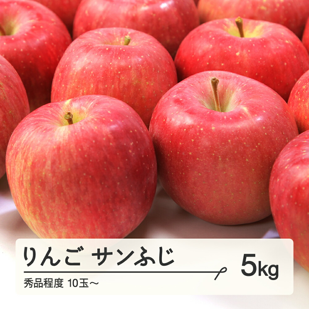 【ふるさと納税】 先行予約 りんご サンふじ 秀品程度 約5kg(10~20個程度) 山形県産 送料無料 tf-risfs5