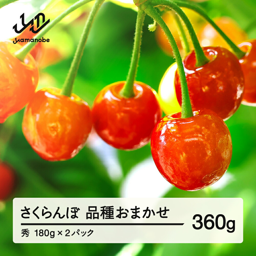 なおちゃん様御専用。訪問着【LEONARD】カラフルフルーツ　さくらんぼ　葡萄 👨‍🌾 ▫️ ▫️ ▫️2021＿no.10 ▫️ ▫️ ▫️【サニーレタス