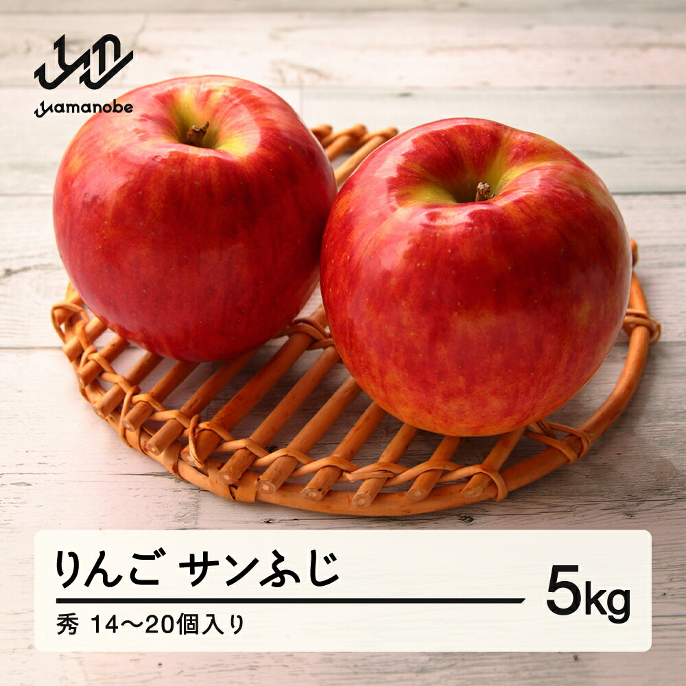【ふるさと納税】山形県産 りんご サンふじ 秀 5kg (14~20個)  送料無料 nf-risfs5
