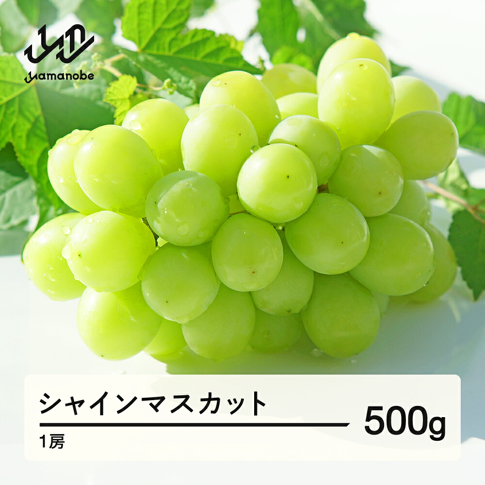 【ふるさと納税】【先行予約】シャインマスカット 秀品 500g 令和8年産 2026年産 果物 ※沖縄・離島への配送不可 mm-busmx1｜山形県山辺町