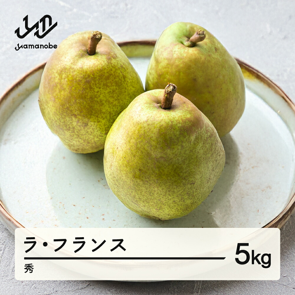 【ふるさと納税】 ラ・フランス 秀品 5kg 洋梨 ラフランス 令和7年産 2025年産 果物 送料無料 mm-lasxx5