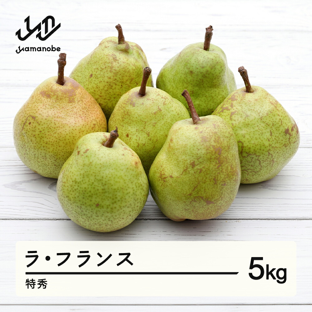 【ふるさと納税】 ラ・フランス 5kg 特秀品 贈答 洋梨 ラフランス  令和7年産 2025年産 果物 送料無料 mm-latsx5
