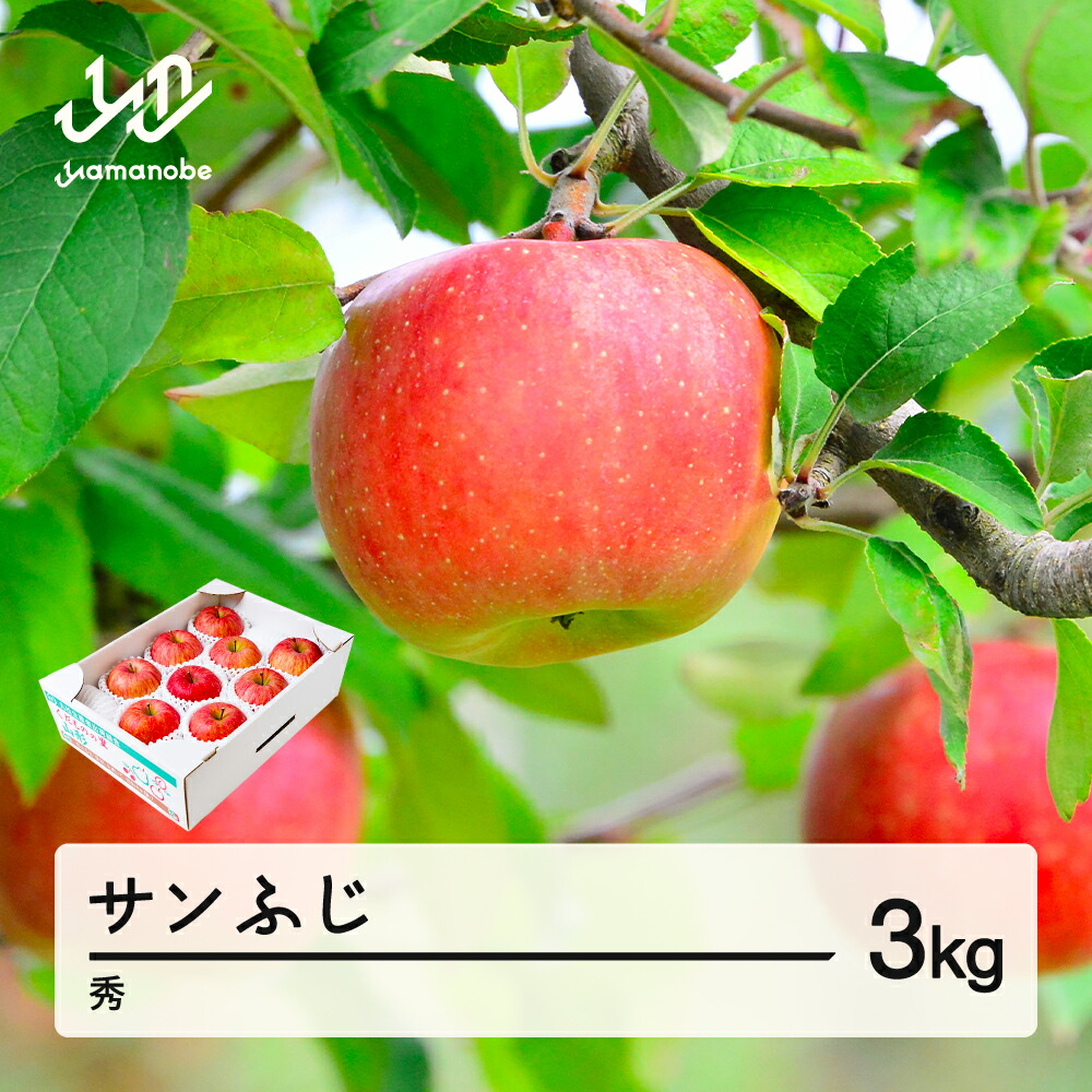 【ふるさと納税】【先行予約】りんご サンふじ 約3kg 秀品 リンゴ 林檎 令和7年産 2025年産 果物 山形県産 送料無料 mm-risfs3