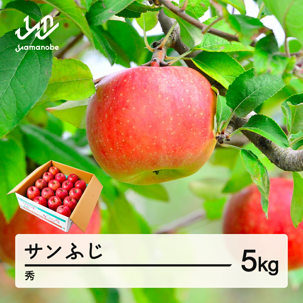 【ふるさと納税】【先行予約】りんご サンふじ 約5kg 秀品 リンゴ 林檎 令和7年産 2025年産 果物 山形県産 送料無料 mm-risfs5