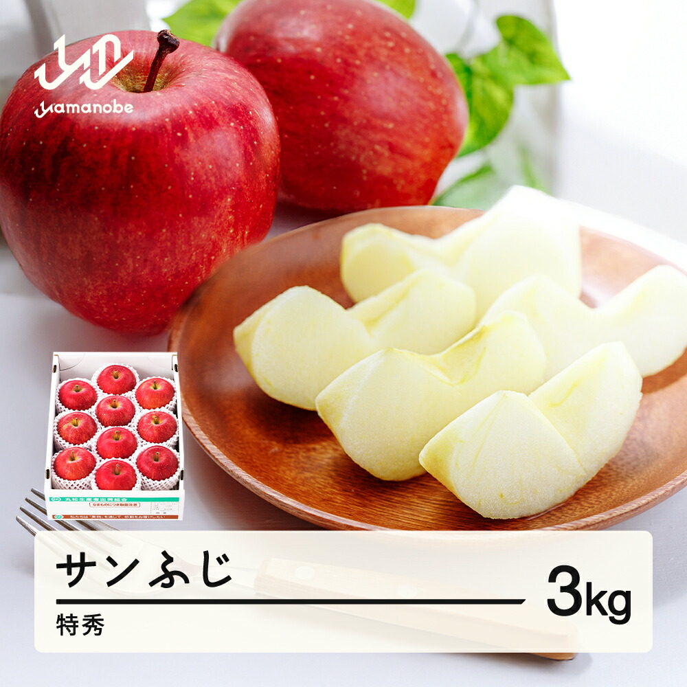 【ふるさと納税】先行予約 りんご サンふじ 約3kg 特秀品 リンゴ 林檎 令和7年産 2025年産 果物 山形県産 送料無料 mm-risft3