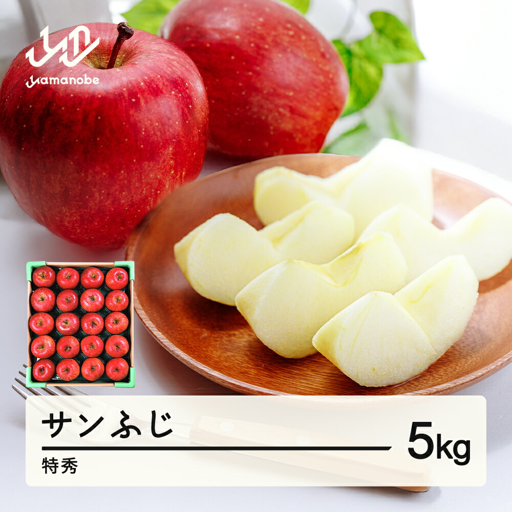 【ふるさと納税】りんご サンふじ 約5kg 特秀品 リンゴ 林檎 令和7年産 2025年産 果物 山形県産 送料無料 mm-risft5