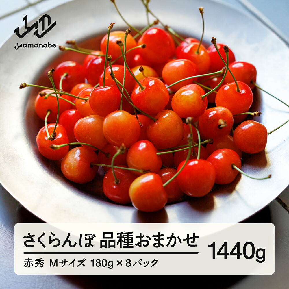 【ふるさと納税】 先行予約 さくらんぼ 品種おまかせ 赤秀品 M玉 180g×8パック ご家庭用 2026年産 令和8年産 山形県産 送料無料 mm-saoam1440