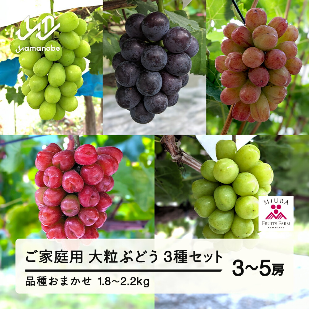 【ふるさと納税】 【農業者支援】≪先行予約≫ご家庭用 2026年山形県産 品種おまかせ 大粒ぶどう3種セット 1.8～2.2kg（3～5房） 2026年9月中旬から順次発送 大粒 種なし 皮ごと食べられる 送料無料 F21A-441