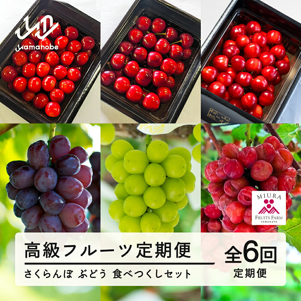 【ふるさと納税】「高級フルーツ定期便６回」　山形県山辺町産　さくらんぼ＆ぶどう　食べつくしセット 令和8年産 2026年産 山形県山辺町産 フルーツ 果物 送料無料 bg-ftsbx6