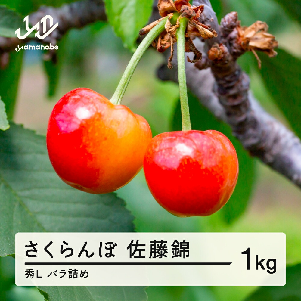 【ふるさと納税】先行予約 さくらんぼ 佐藤錦 秀 L 1kg バラ詰め 令和7年産 2025年産 山形県山辺町産 フルーツ 果物 送料無料 sa-snbsl1000