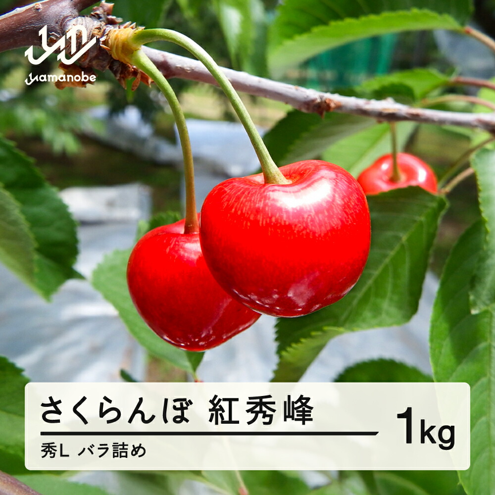 【ふるさと納税】先行予約 2025年 山形県産さくらんぼ 紅秀峰 秀L 1kg バラ詰め　送料無料 sa-bsslb1000