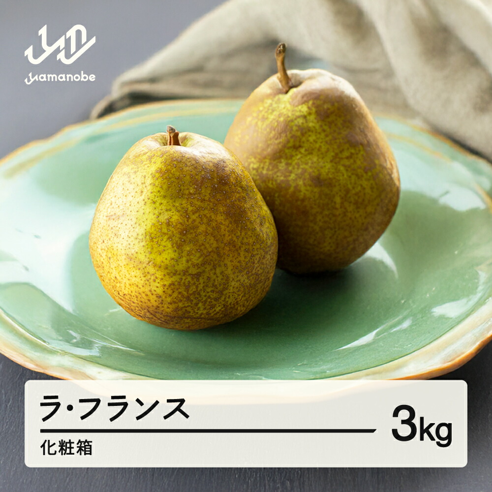【ふるさと納税】《先行予約》ラ・フランス 化粧箱 3kg 令和7年産 2025年産 山形県産 ラフランス 果物 送料無料 ※沖縄・離島への配送不可 ns-laxxx3