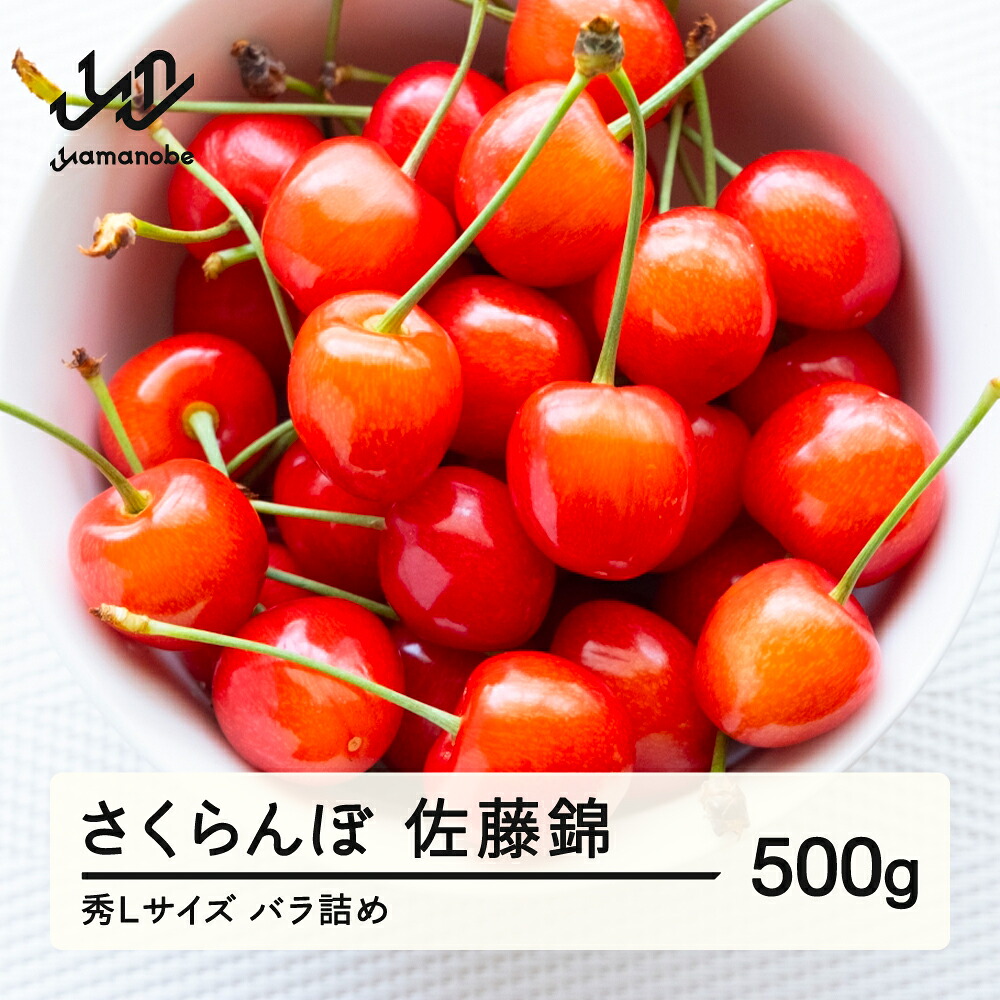 【ふるさと納税】《先行予約》さくらんぼ 佐藤錦 秀Lサイズ プレゼント ギフト バラ詰め 500g 2026年産 令和8年産 山形県産 送料無料 ns-snslb500