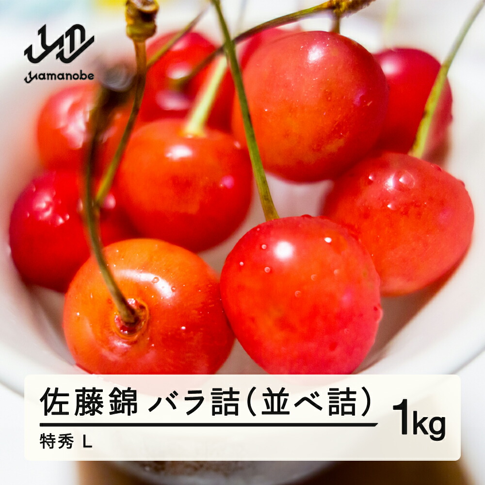 【ふるさと納税】 《先行予約》 山形県産 さくらんぼ 佐藤錦 バラ詰（並べ詰）1kg 特秀 L 2025年産 2025年6月10日頃から順次発送 送料無料 F20A-020