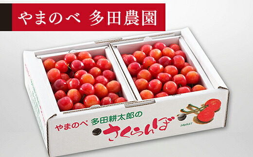 【ふるさと納税】 《先行予約》 2026年 山形県産 佐藤錦 バラ詰め（パック）1kg やまのべ多田耕太郎のさくらんぼ サクランボ 送料無料 F20A-048