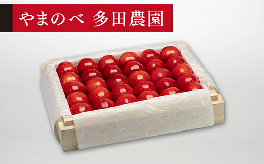 【ふるさと納税】 《先行予約》 2026年 山形県産 特選紅秀峰 桐箱詰め 約300g 2L以上 やまのべ多田耕太郎のさくらんぼ サクランボ ギフト 贈答 贈り物 送料無料 F20A-049