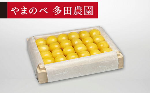 【ふるさと納税】《先行予約》2026年 山形県産 特選月山錦 桐箱詰め 約300g やまのべ多田耕太郎のさくらんぼ ギフト 贈答 贈り物 送料無料 F20A-051