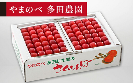 【ふるさと納税】 《先行予約》 2026年 山形県産 佐藤錦 本詰 L~2L 約1kg やまのべ多田耕太郎のさくらんぼ サクランボ 送料無料 F20A-053 26,000円