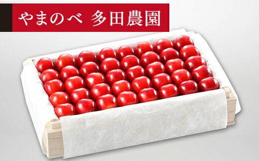【ふるさと納税】 《先行予約》 2026年 山形県産 特選紅秀峰 桐箱詰め 約700g 2L以上 やまのべ多田耕太郎のさくらんぼ サクランボ ギフト 贈答 贈り物 送料無料 F20A-056